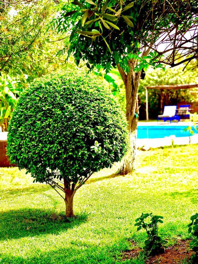 Le Domaine De Carole Marrakech Bed & Breakfast Douar Akkara Exterior photo