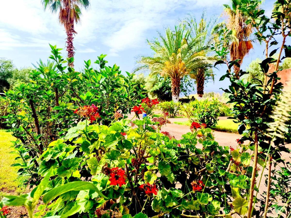Le Domaine De Carole Marrakech Bed & Breakfast Douar Akkara Exterior photo