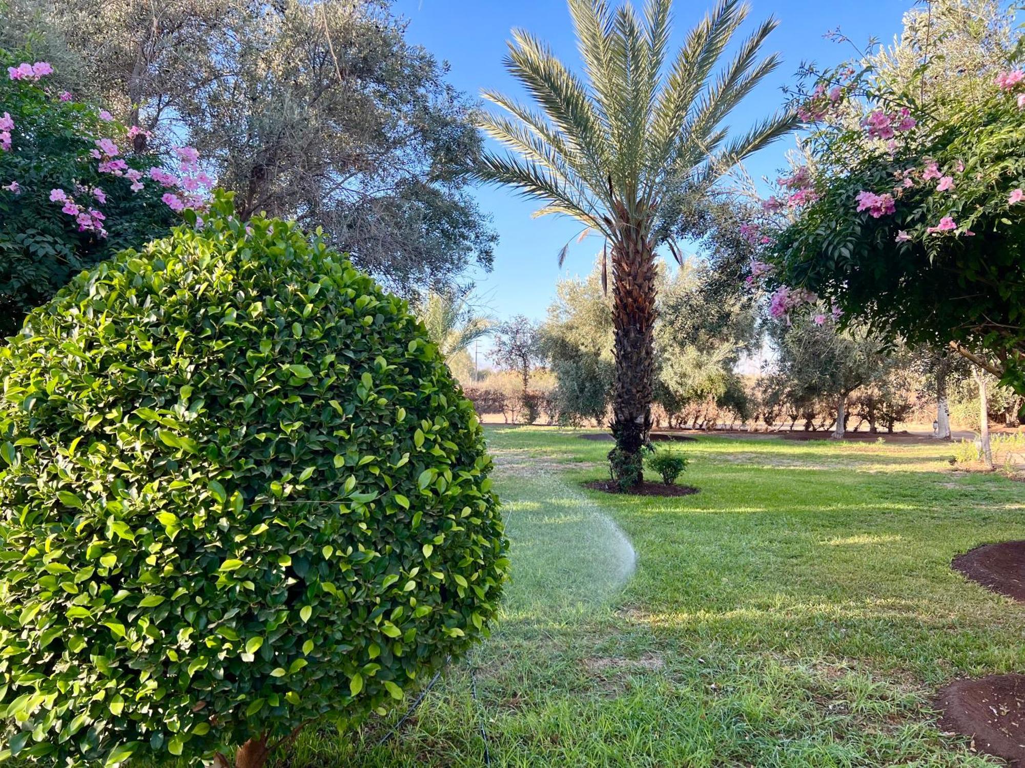 Le Domaine De Carole Marrakech Bed & Breakfast Douar Akkara Exterior photo